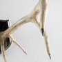 67646 - Sika I Natural Finish set of Replica Deer Antlers