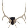 67646 - Sika I Natural Finish set of Replica Deer Antlers