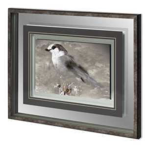 Woodland Animal Bird by Stephan Fontaine Hand Embellished Framed Art Print Matted under Glass