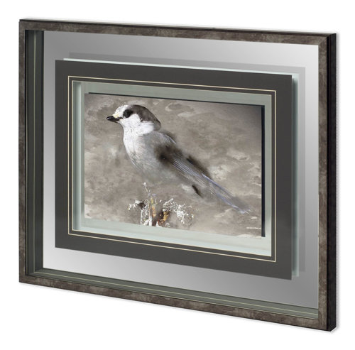 11644 - Woodland Animal Bird by Stephan Fontaine Hand Embellished Framed Art Print Matted under Glass
