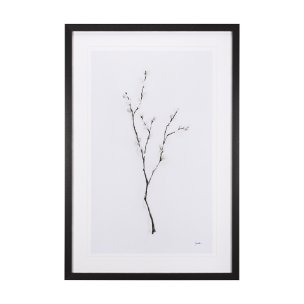 Snow Greetings I by Panpan a Framed Art Print Matted under Glass