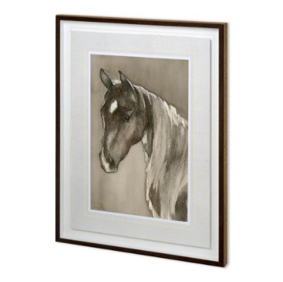 11991 - Horse Portrait II by Mercana Studio a Hand Embellished Textured Framed Art Print Matted under Glass