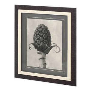 Custom Blossfeldt Botanical IV Karl Blossfeldt Hand Embellished Framed Art Print Matted under Glass
