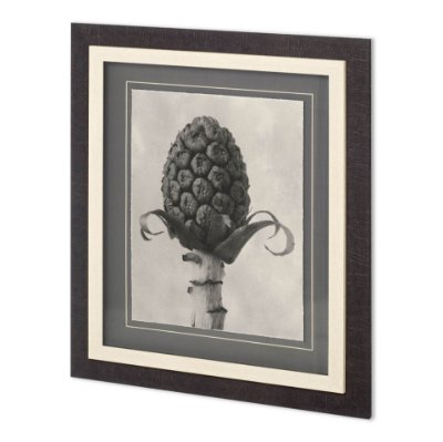 11966 - Custom Blossfeldt Botanical IV Karl Blossfeldt Hand Embellished Framed Art Print Matted under Glass