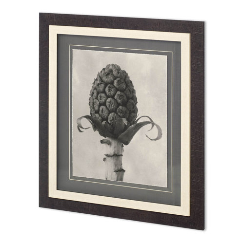 11966 - Custom Blossfeldt Botanical IV Karl Blossfeldt Hand Embellished Framed Art Print Matted under Glass