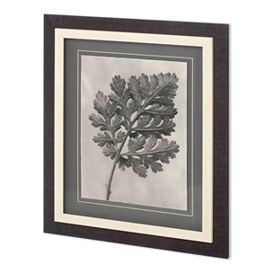 Custom Blossfeldt Botanical III Karl Blossfeldt Hand Embellished Framed Art Print Matted under Glass