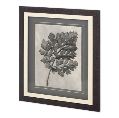 11965 - Custom Blossfeldt Botanical III Karl Blossfeldt Hand Embellished Framed Art Print Matted under Glass
