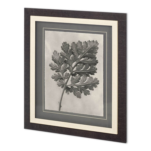 11965 - Custom Blossfeldt Botanical III Karl Blossfeldt Hand Embellished Framed Art Print Matted under Glass