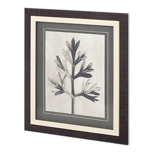 Custom Blossfeldt Botanical I by Karl Blossfeldt Hand Embellished Framed Art Print Matted under Glas