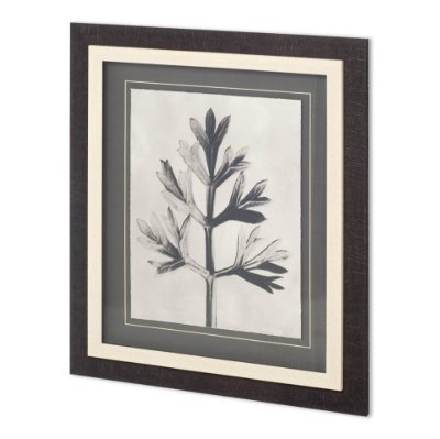 11964 - Custom Blossfeldt Botanical I by Karl Blossfeldt Hand Embellished Framed Art Print Matted under Glas