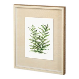WILD GREENS II by MEYERS a Framed Art Print Matted under Glass