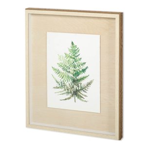 WILD GREENS I  by MEYERS a Framed Art Print Matted under Glass