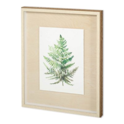 11941 - WILD GREENS I  by MEYERS a Framed Art Print Matted under Glass