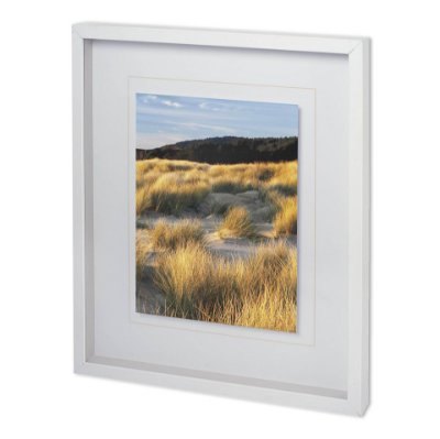 11915 - DUNE GRASS & BEACH III by DENNIS FRATES a Framed Photo Art Print Matted under Glass