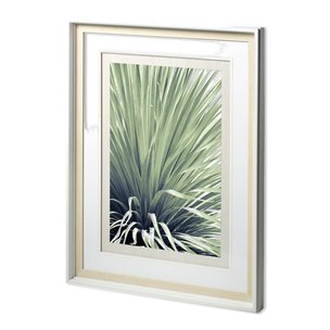 Chisos - Framed Art Photograph Matted under Glass