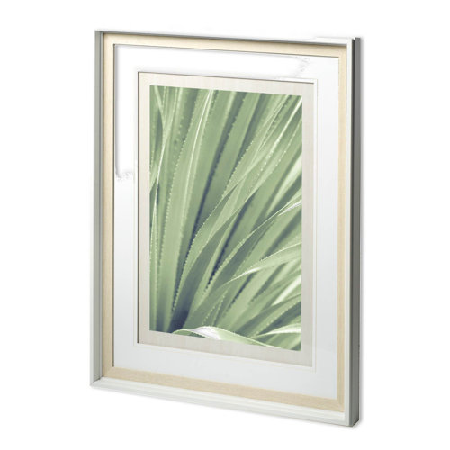 11650 - Sierra Madre - Framed Art Photograph Matted under Glass