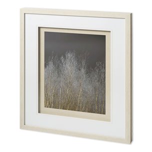Silver Forest III by Frank, Assaf a Framed Photo Art Print Matted under Glass