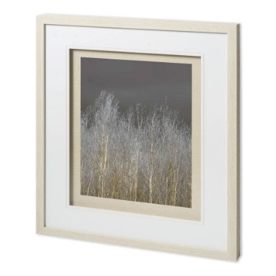 11624 - Silver Forest II by Frank, Assaf a Framed Photo Art Print Matted under Glass