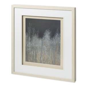 Silver Forest I by Frank, Assaf a Framed Photo Art Print Matted under Glass