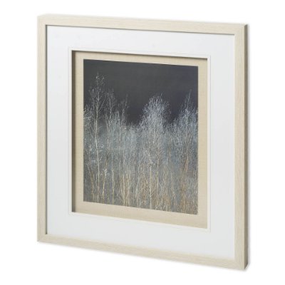 11623 - Silver Forest I by Frank, Assaf a Framed Photo Art Print Matted under Glass