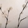 100885-S - Snow Greetings I by Mercana Studio a Hand Embellished Textured Canvas