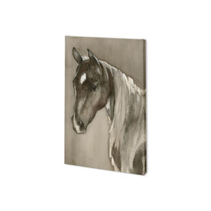 Horse Portrait II by Mercana Studio a Hand Embellished Textured Canvas
