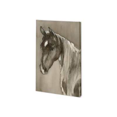 100882-S - Horse Portrait II by Mercana Studio a Hand Embellished Textured Canvas