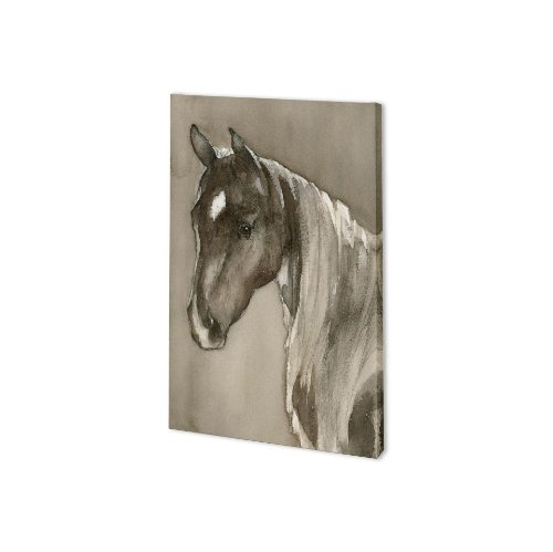 100882-S - Horse Portrait II by Mercana Studio a Hand Embellished Textured Canvas