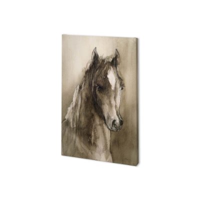 100881-S - Horse Portrait I by Mercana Studio a Hand Embellished Textured Canvas