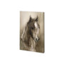 100881-S - Horse Portrait I by Mercana Studio a Hand Embellished Textured Canvas