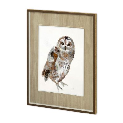 11498 - Owl II by Patti Mann a Hand Embellished Textured Framed Art Print Matted under Glass