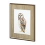 11497 - Owl I by Patti Mann a Hand Embellished Textured Framed Art Print Matted under Glass