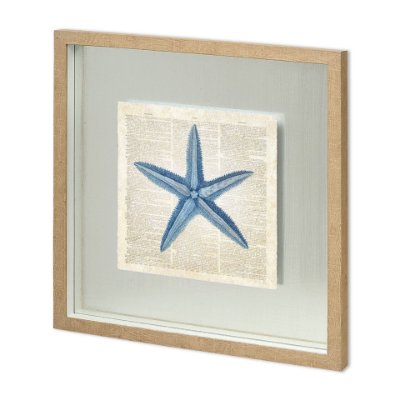 11476 - Starfish Pages by Christopher James a Hand Embellished Textured Framed Art Print Matted under Glass