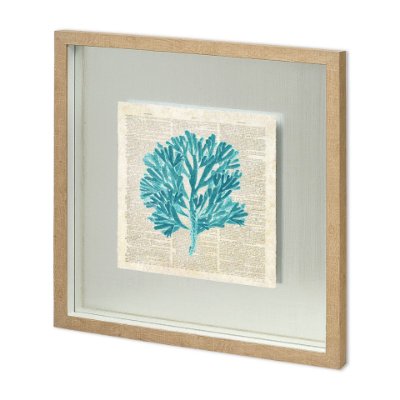 11475 - Seaweed Pages by Christopher James a Hand Embellished Textured Framed Art Print Matted under Glass