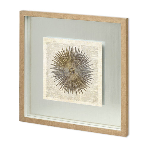 11473 - Sea Urchin Pages by Christopher James Hand Embellished Textured Framed Art Print Matted under Glass