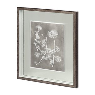 Custom Herbarium Study IV by Vision Studio Hand Embellished Framed Art Print Matted under Glass