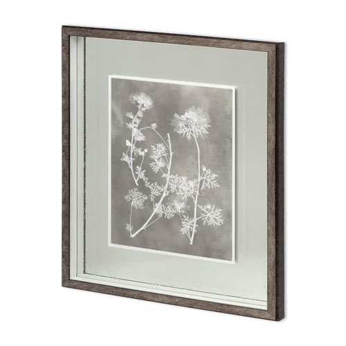 11419 - Custom Herbarium Study IV by Vision Studio Hand Embellished Framed Art Print Matted under Glass