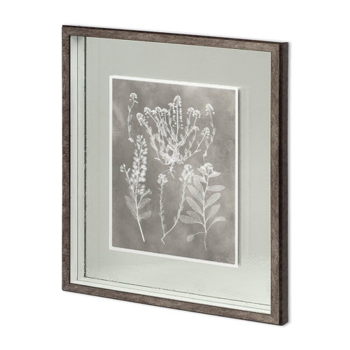 11418 - Custom Herbarium Study III by Vision Studio Hand Embellished Framed Art Print Matted under Glass