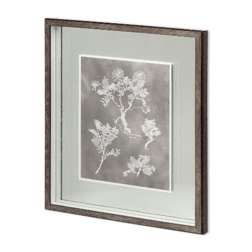 11417 - Custom Herbarium Study II by Vision Studio Hand Embellished Framed Art Print Matted under Glass