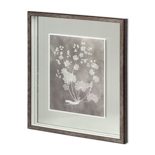 Custom Herbarium Study I by Vision Studio Hand Embellished Framed Art Print Matted under Glass
