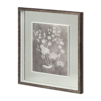 11416 - Custom Herbarium Study I by Vision Studio Hand Embellished Framed Art Print Matted under Glass