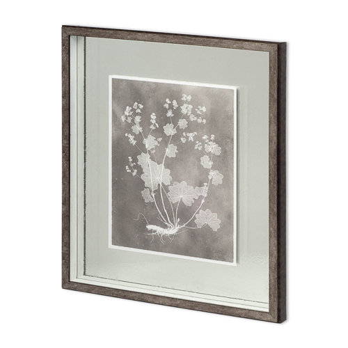 11416 - Custom Herbarium Study I by Vision Studio Hand Embellished Framed Art Print Matted under Glass