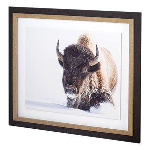 Tenacity by Wink Gaines a Hand Embellished Textured Framed Art Photograph Matted under Glass