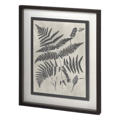 11389 - Vintage Fern Study by Mercana Studio a Hand Embellished Textured Framed Art Print Matted under Glass