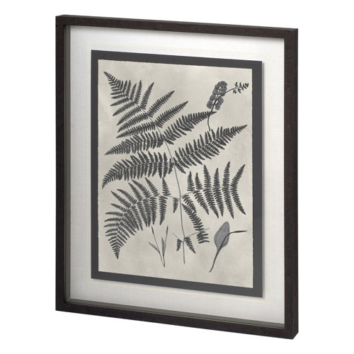 11389 - Vintage Fern Study by Mercana Studio a Hand Embellished Textured Framed Art Print Matted under Glass