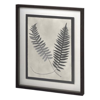 11388 - Vintage Fern Study by Mercana Studio a Hand Embellished Textured Framed Art Print Matted under Glass