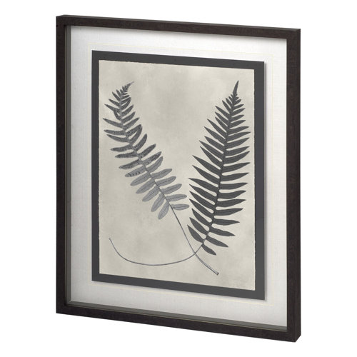 11388 - Vintage Fern Study by Mercana Studio a Hand Embellished Textured Framed Art Print Matted under Glass