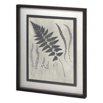 11387 - Vintage Fern Study by Mercana Studio a Hand Embellished Textured Framed Art Print Matted under Glass