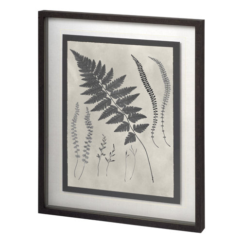 11387 - Vintage Fern Study by Mercana Studio a Hand Embellished Textured Framed Art Print Matted under Glass