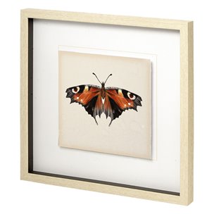 Butterfly Study IV by Melissa Wang a Hand Embellished Textured Framed Art Print Matted under Glass